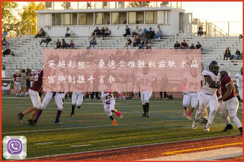 英超彩经：桑德兰难胜利兹联 水晶宫热刺握手言和